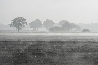 BUITEN BEELD Foto: 284805