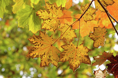 BUITEN BEELD Foto: 284843