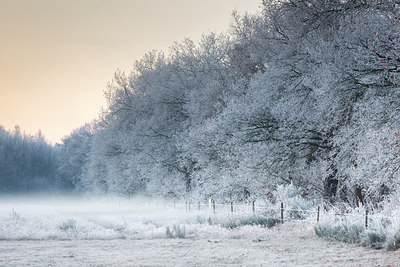 BUITEN BEELD Foto: 284862