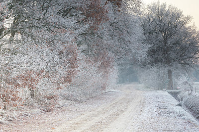 BUITEN BEELD Foto: 284863