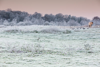 BUITEN BEELD Foto: 284865