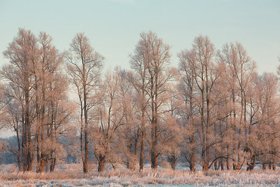 BUITEN BEELD Foto: 284866