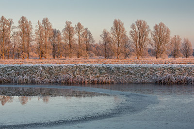 BUITEN BEELD Foto: 284867