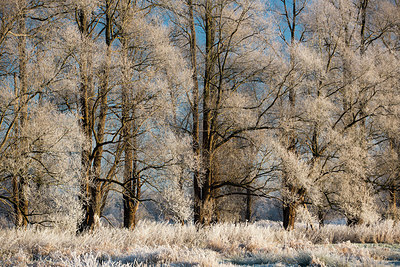 BUITEN BEELD Foto: 284868