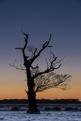 BUITEN BEELD Foto: 284870