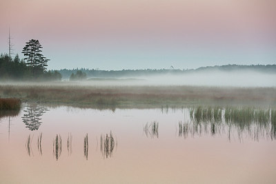 BUITEN BEELD Foto: 284905