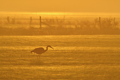 BUITEN BEELD Foto: 284924