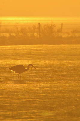 BUITEN BEELD Foto: 284928