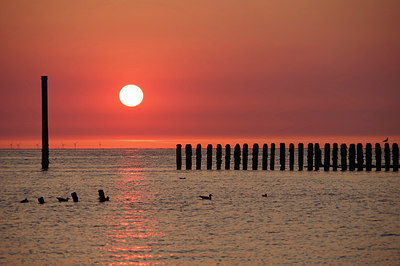 BUITEN BEELD Foto: 284929