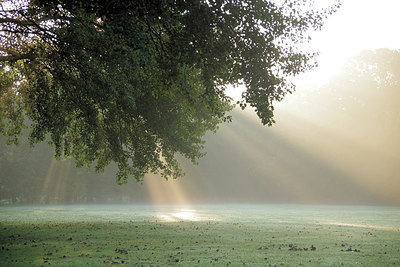 BUITEN BEELD Foto: 284930