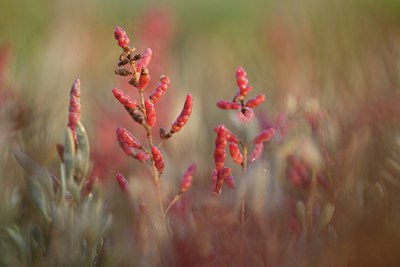 BUITEN BEELD Foto: 284956