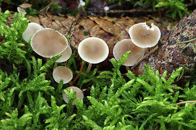 BUITEN BEELD Foto: 285001
