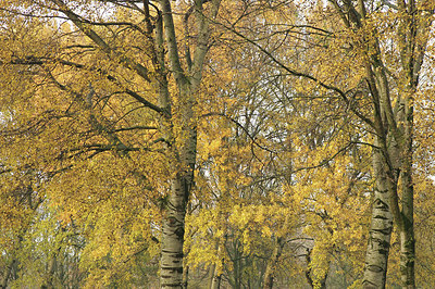 BUITEN BEELD Foto: 285011
