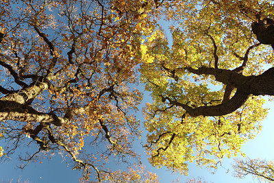 BUITEN BEELD Foto: 285012