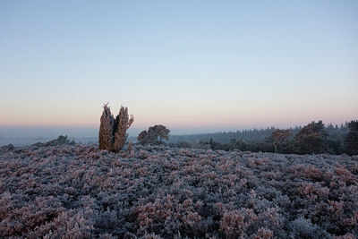 BUITEN BEELD Foto: 285026