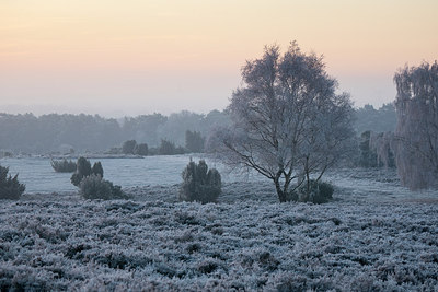 BUITEN BEELD Foto: 285031