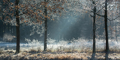 BUITEN BEELD Foto: 285053