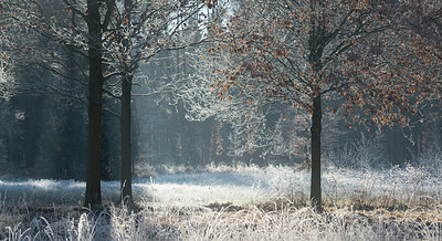 BUITEN BEELD Foto: 285054