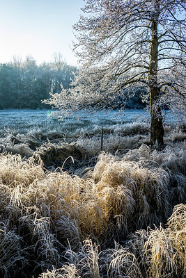 BUITEN BEELD Foto: 285057