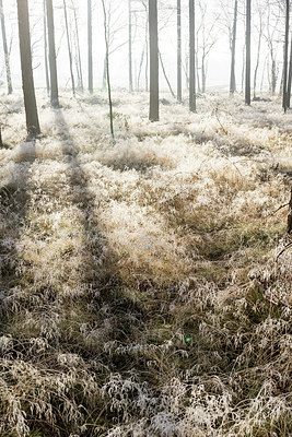 BUITEN BEELD Foto: 285060