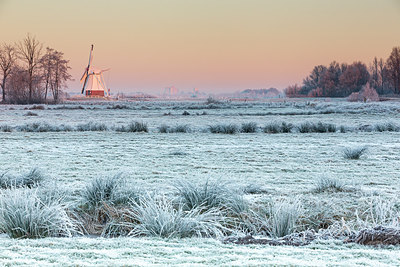 BUITEN BEELD Foto: 285062