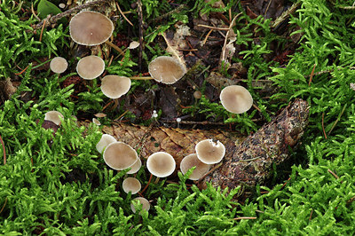 BUITEN BEELD Foto: 285064
