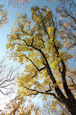 BUITEN BEELD Foto: 285075