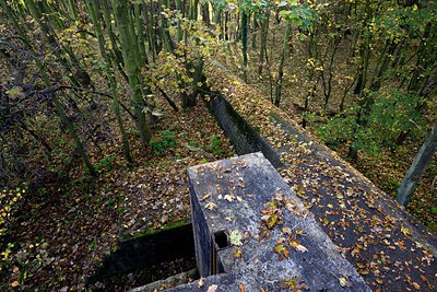 BUITEN BEELD Foto: 285082
