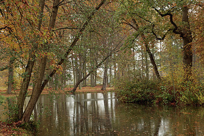 BUITEN BEELD Foto: 285086
