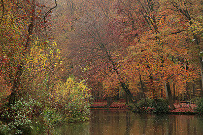 BUITEN BEELD Foto: 285089