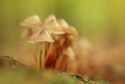 BUITEN BEELD Foto: 285090