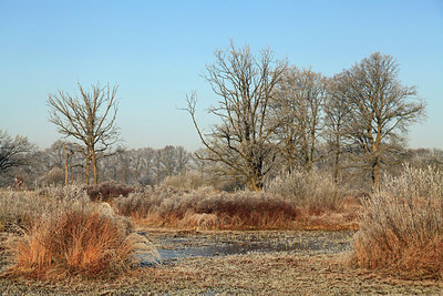 BUITEN BEELD Foto: 285101