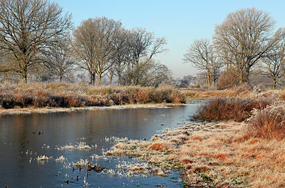 BUITEN BEELD Foto: 285102