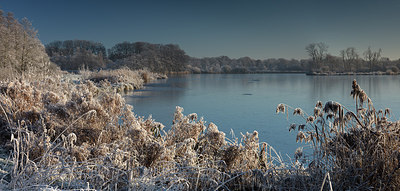 BUITEN BEELD Foto: 285103