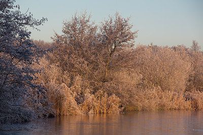 BUITEN BEELD Foto: 285121