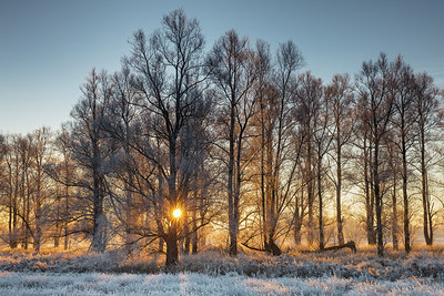 BUITEN BEELD Foto: 285146