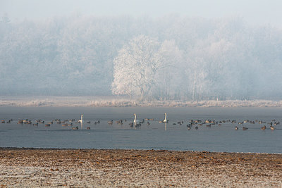 BUITEN BEELD Foto: 285154