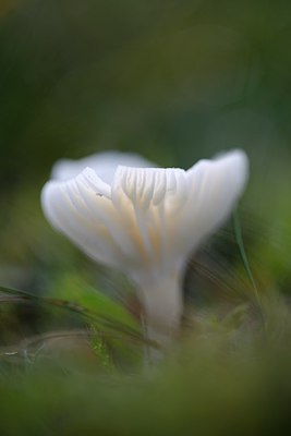BUITEN BEELD Foto: 285165