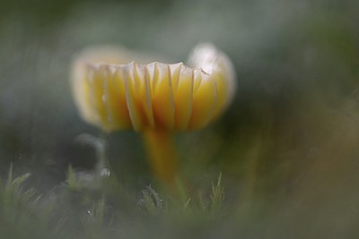 BUITEN BEELD Foto: 285168