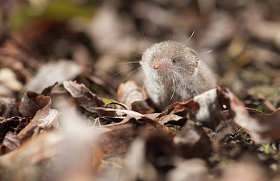BUITEN BEELD Foto: 285231