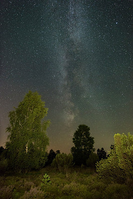 BUITEN BEELD Foto: 285239