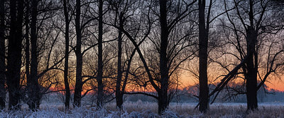 BUITEN BEELD Foto: 285289
