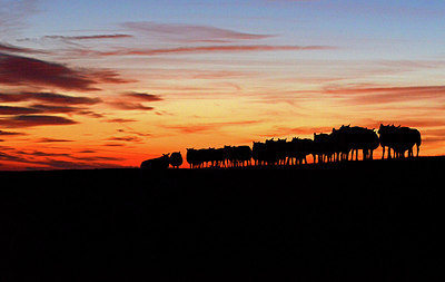BUITEN BEELD Foto: 285297