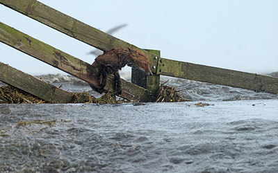 BUITEN BEELD Foto: 285319