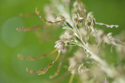 BUITEN BEELD Foto: 285351