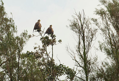 BUITEN BEELD Foto: 285369