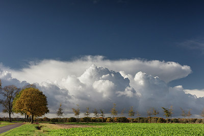 BUITEN BEELD Foto: 285383