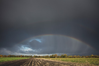 BUITEN BEELD Foto: 285399