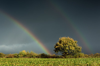 BUITEN BEELD Foto: 285400
