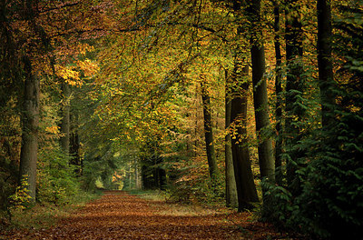 BUITEN BEELD Foto: 285404